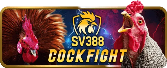 Người chơi E-sports đang tập trung vào màn hình