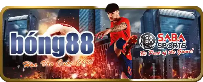 Sân tennis với vợt và bóng